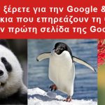 Οι αλγόριθμοι Panda, Penguin και Hummingbird της Google και το SEO