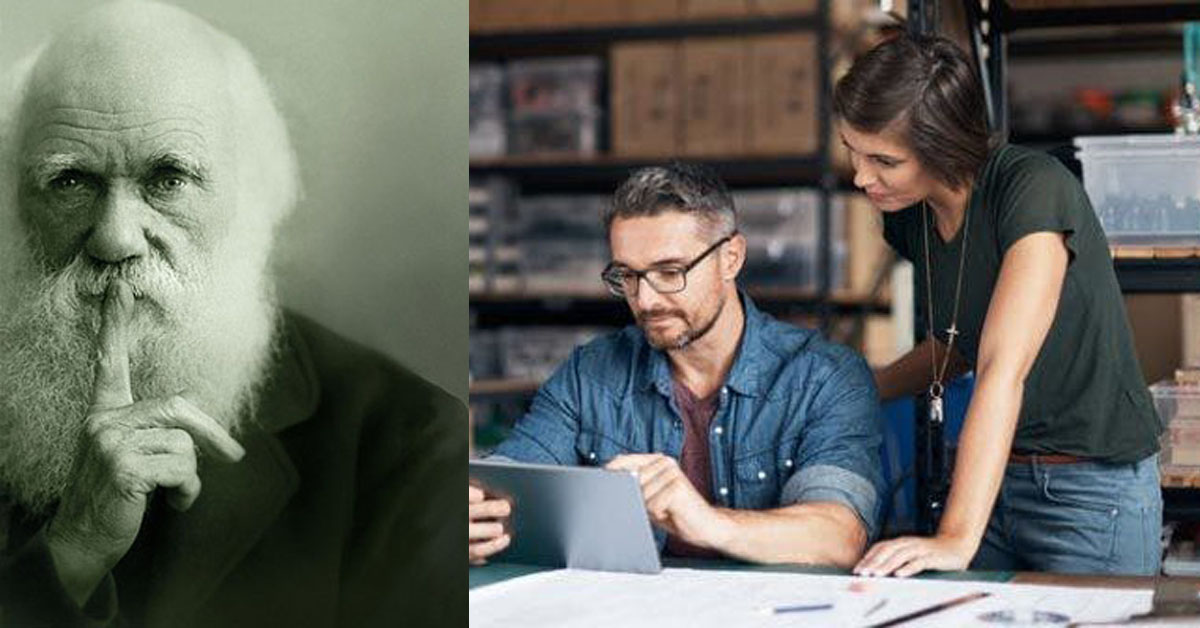 Δαρβινισμός και επιχειρήσεις